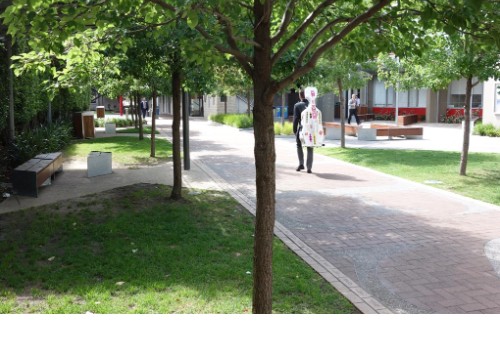 St Michael's Grammar Coleman Walk
